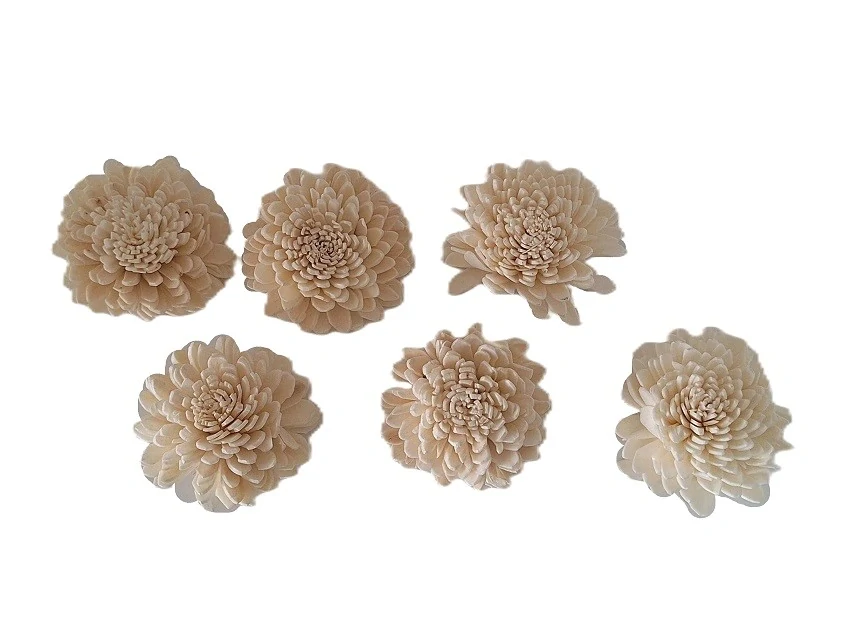Sholla BELLY 6cm / 25ks